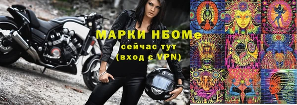 прущие грибы Покровск