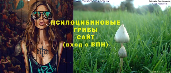 мяу мяу мука Покачи