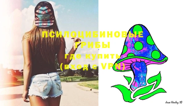мяу мяу мука Покачи